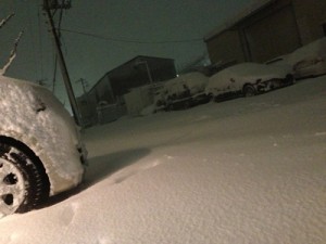 2014.2 雪